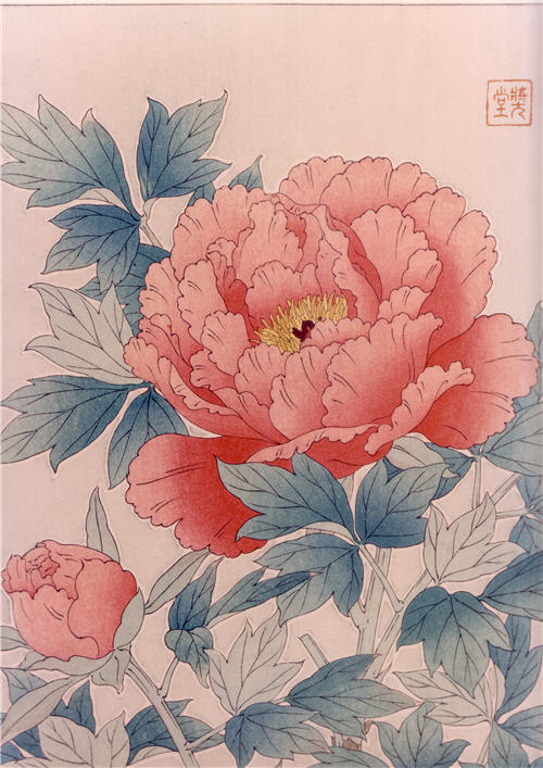 red peony stands for holistic healing